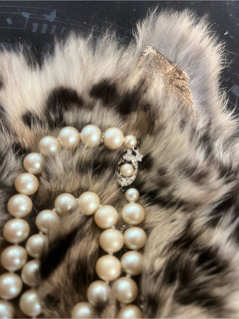Classic Ivory Pearl Strand Necklace - Elegant Women's Jewelry